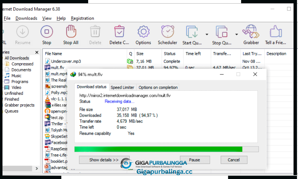 Internet Download Manager Dowload