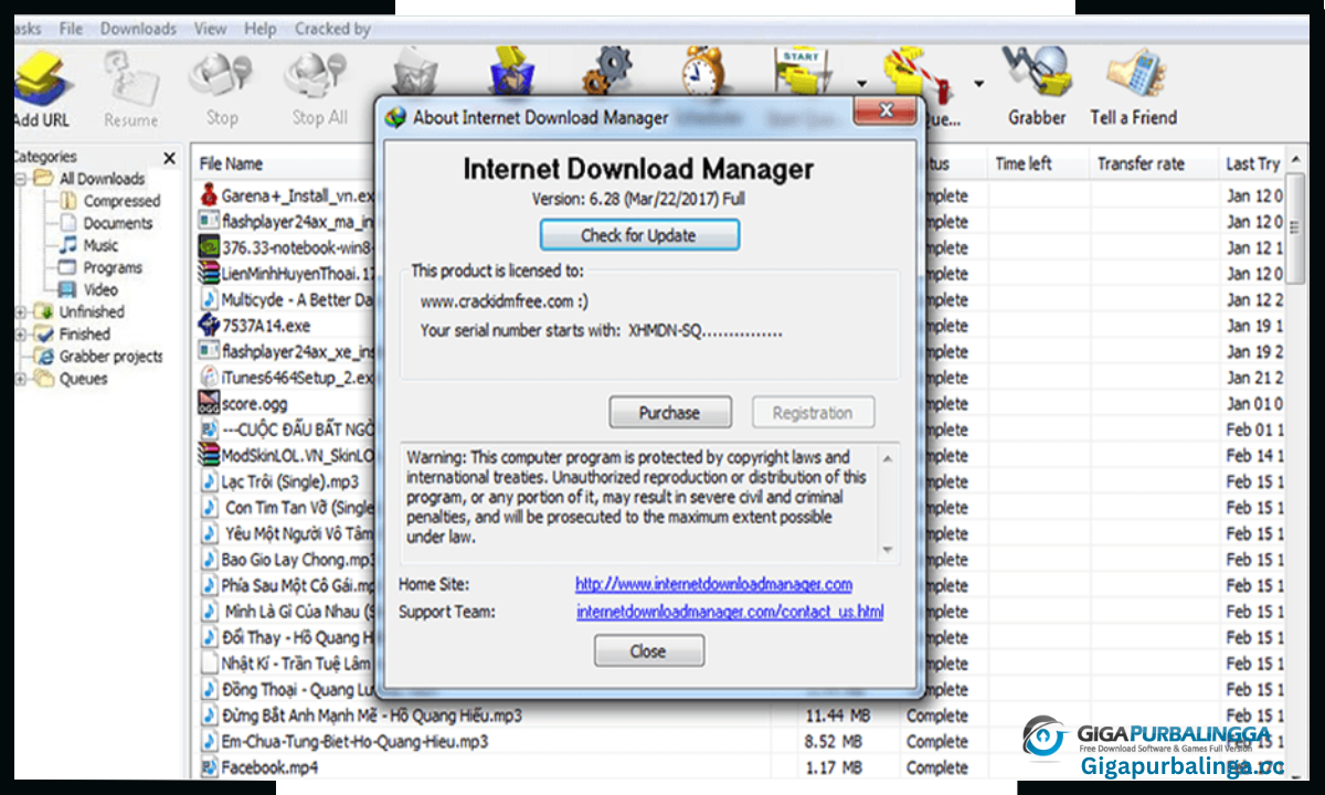 Internet Download Manager Download Internet Download Manager Download