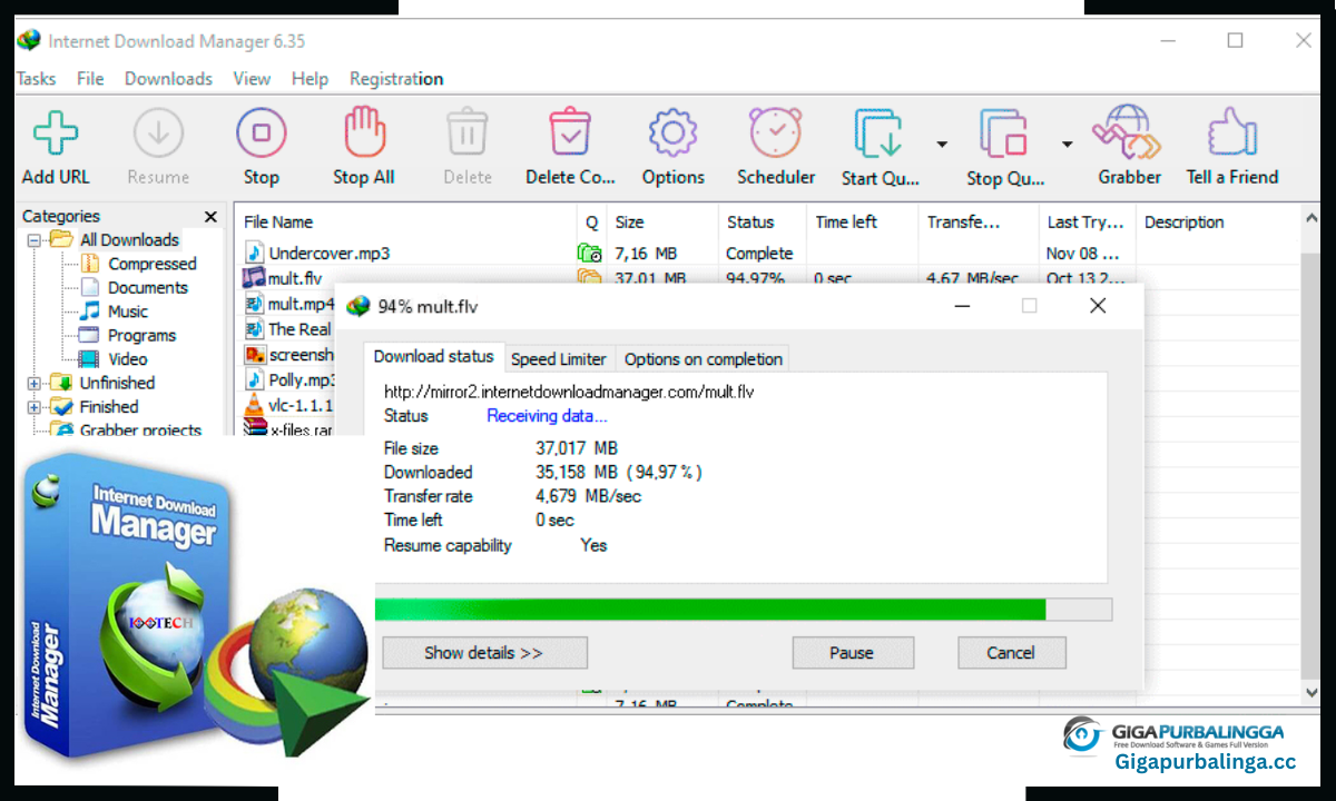 Internet Download Manager Download