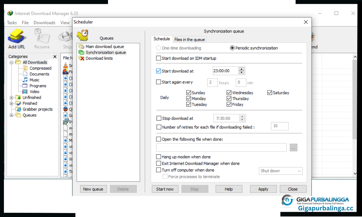 Internet Download Manager Download