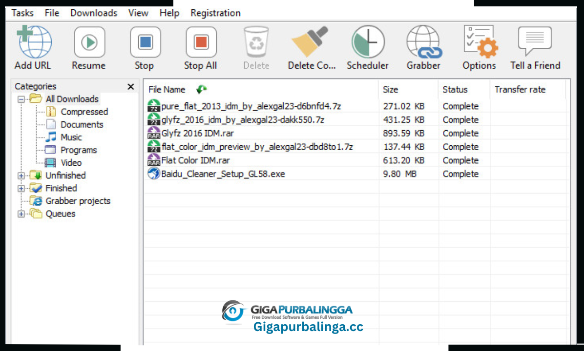 Internet Download Manager Download