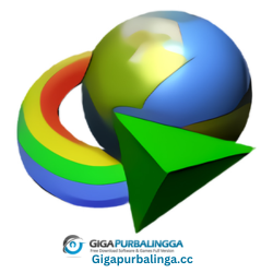 Internet Download Manager