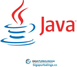 Java SE Runtime Environment