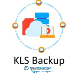 KLS Backup Professional