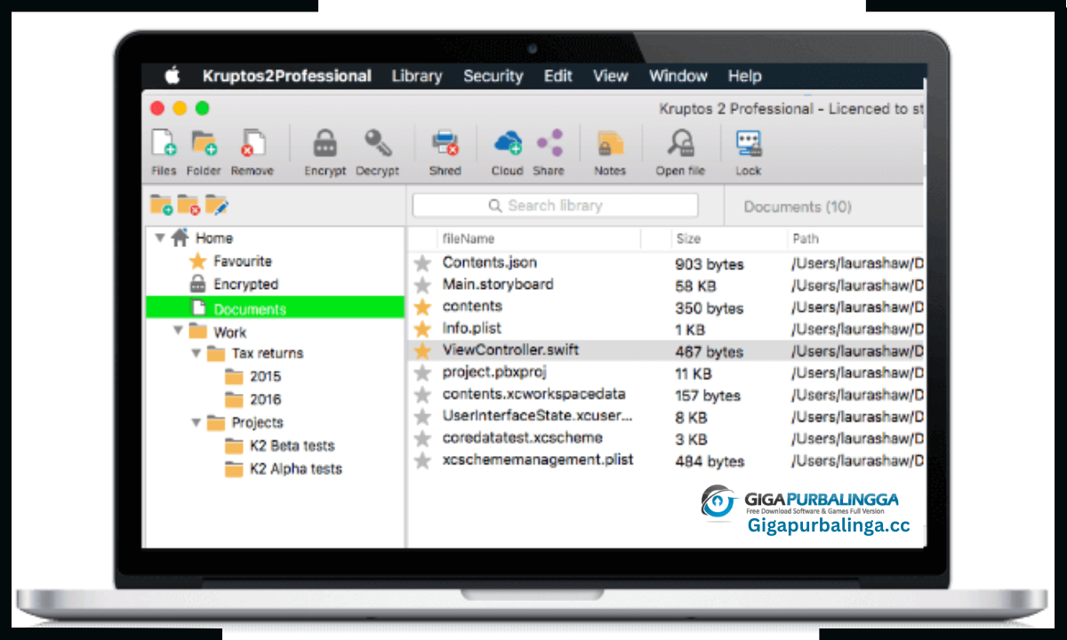 Kruptos 2 Professional Download