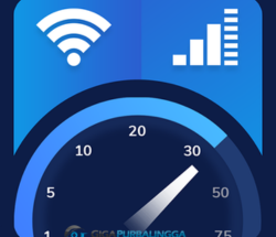 LAN Speed Test