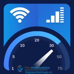 LAN Speed Test