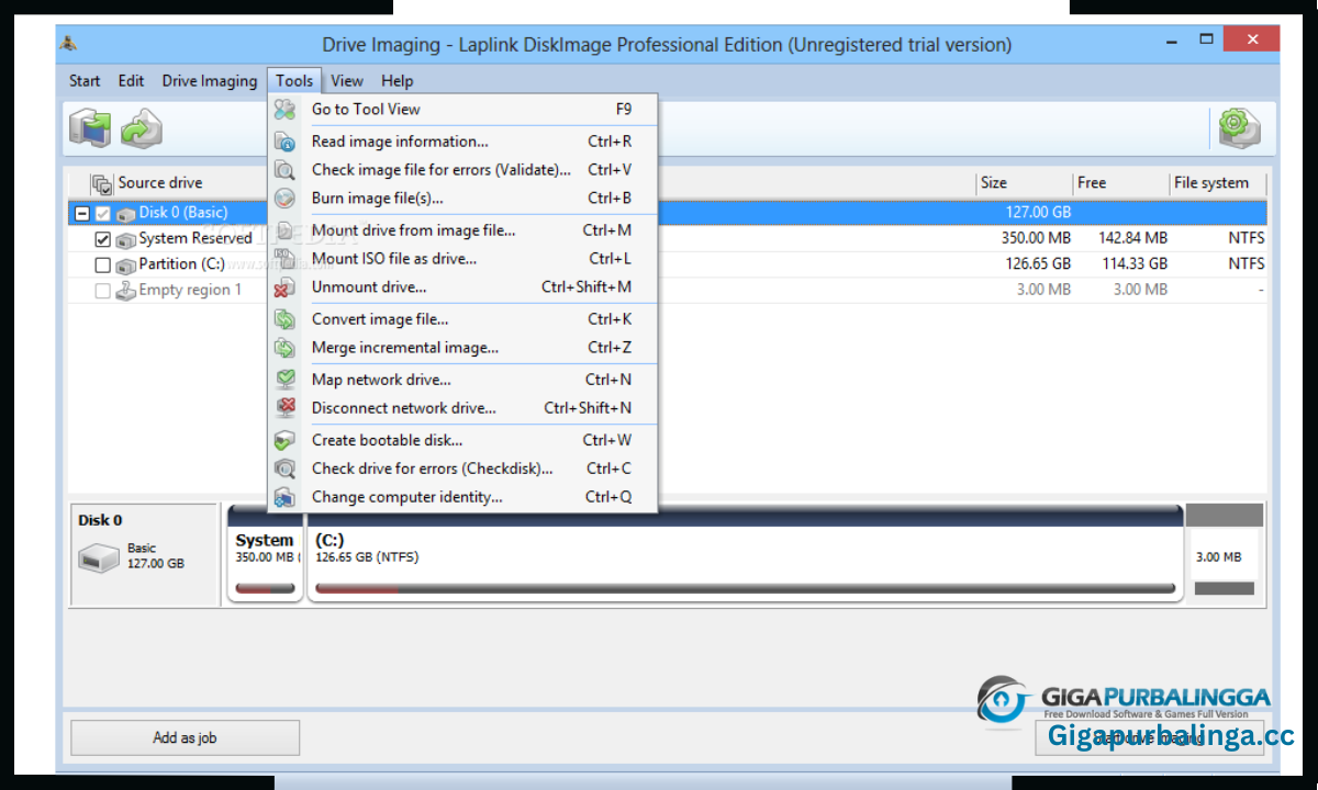 Laplink DiskImage Professional download Laplink DiskImage Professional download
