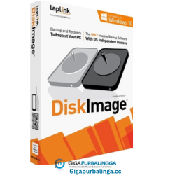 Laplink DiskImage Professional