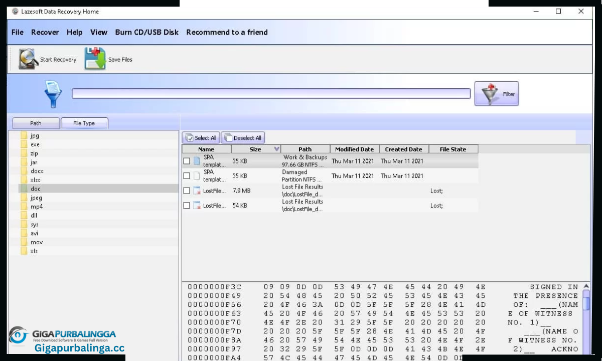 Lazesoft Data Recovery Unlimited Edition Download