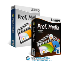 Leawo Prof Media