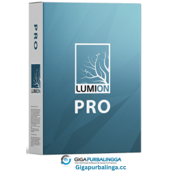 Lumion Pro
