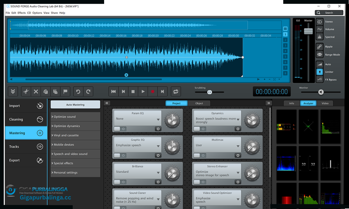 MAGIX Audio Cleaning Lab Download