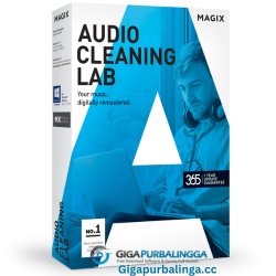 MAGIX Audio Cleaning Lab