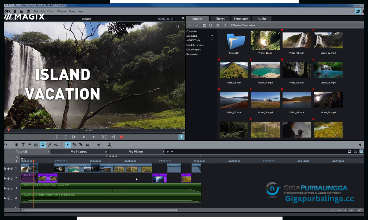 MAGIX Movie Studio Platinum download