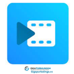 MAGIX Movie Studio Platinum