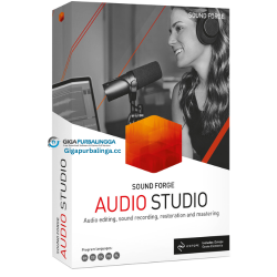 MAGIX Sound Forge Audio Studio