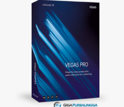 MAGIX Vegas Pro