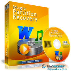 Magic Partition Recovery