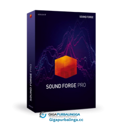 Magix Sound Forge Pro