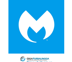 Malwarebytes Anti-Ransomware