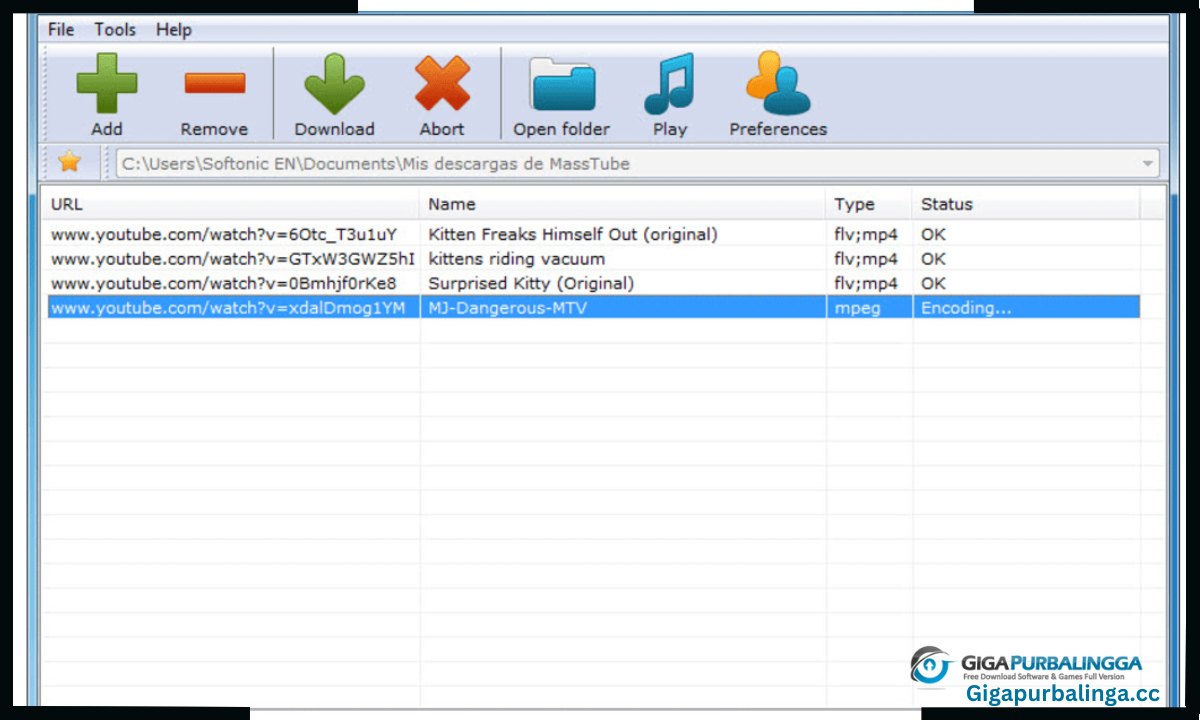 MassTube Plus Download