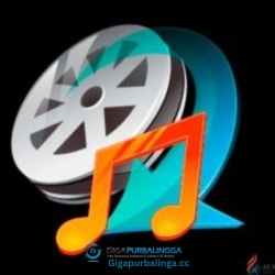 MediaCoder Premium
