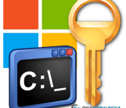 Microsoft Activation Script