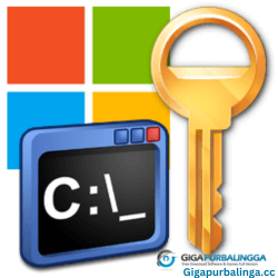 Microsoft Activation Script