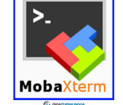 MobaXterm Professional