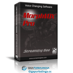 MorphVOX Pro