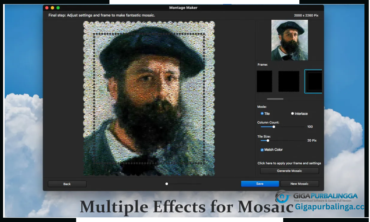 Mosaizer Pro download