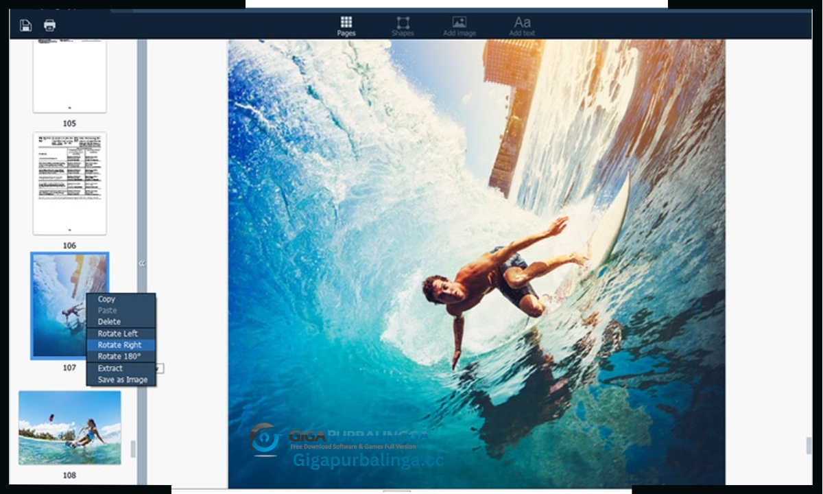 Movavi PDF Editor download