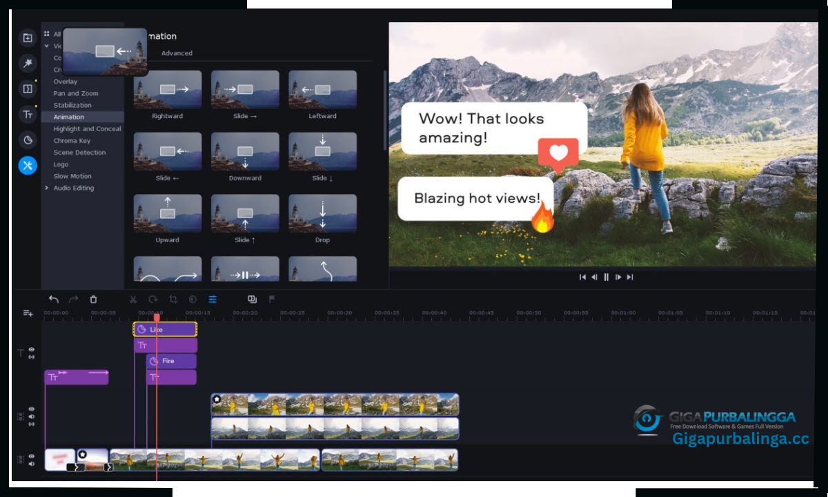 Movavi Photo Editor Download