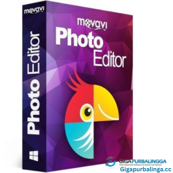 Movavi Photo Editor