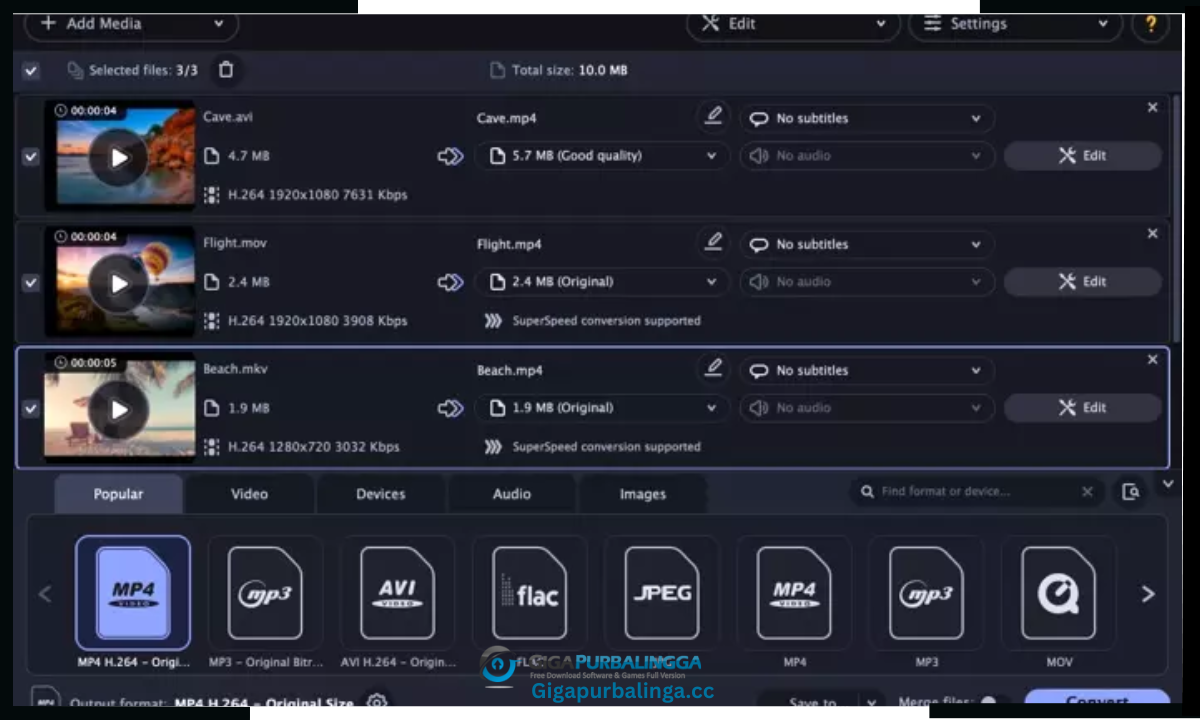Movavi Video Converter download