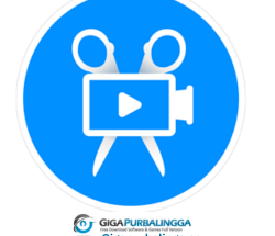 Movavi Video Editor