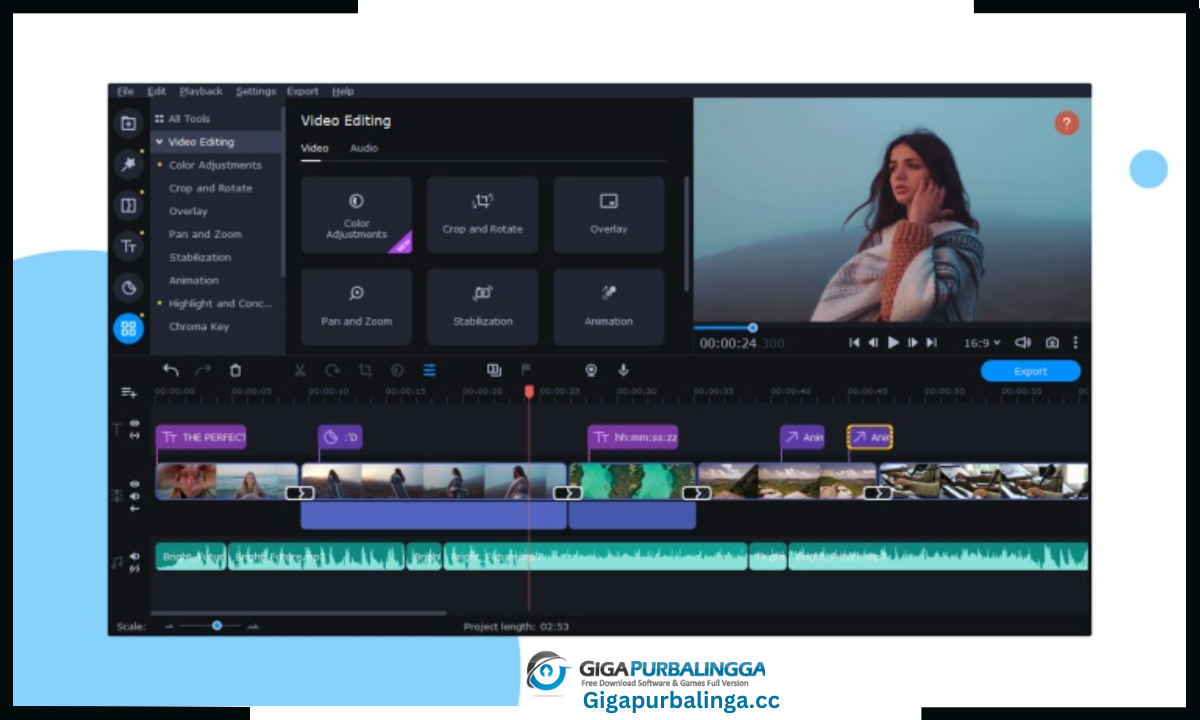 Movavi Video Suite Download