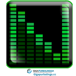Neatmp3 Pro