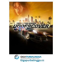 Need for Speed Undercover