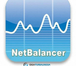 Netbalancer