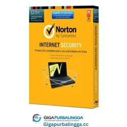 Norton Internet Security