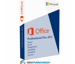 Office Pro Plus 2013