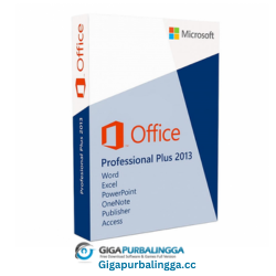 Office Pro Plus 2013