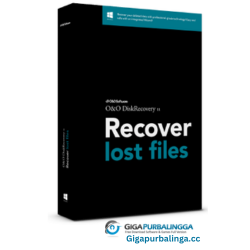 O&o Diskimage Server