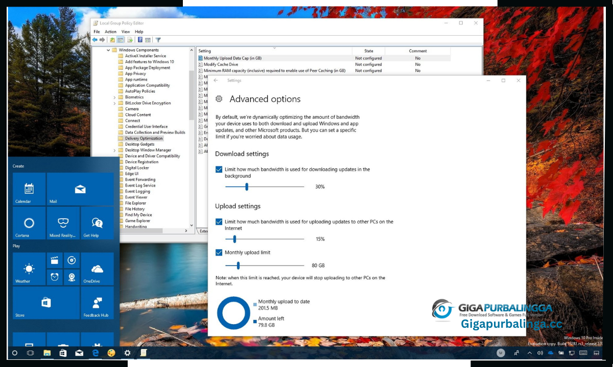 Optimizer Windows 10 Download
