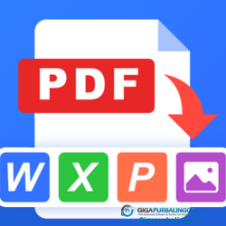 PDF Converter Pro