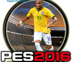 PES Professionals Patch