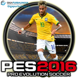 PES Professionals Patch