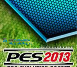 PESEdit Patch 2013